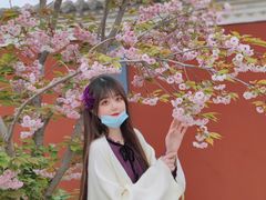-茂陵博物馆
