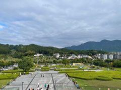 -龙泉青瓷博物馆