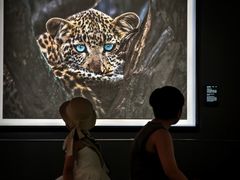 -罗红摄影艺术馆