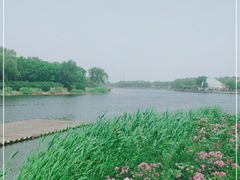 -湖景温泉
