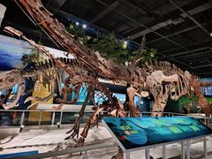 -国家自然博物馆