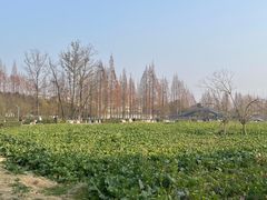-蜀绣公园