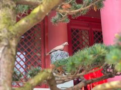 -太平禅寺