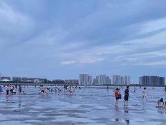 -奉贤海滩
