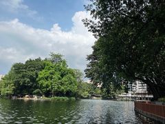 -荔湾湖公园
