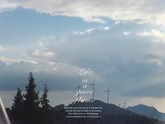 -武陵山森林公园