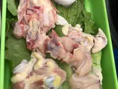 -蚝专家