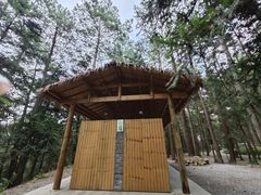 -重庆睡佛山森林公园