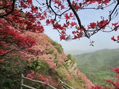 -木兰云雾山
