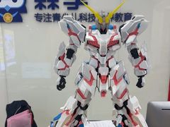 -森孚机器人编程·STEM积木·等级考试(虹口足球场中心)