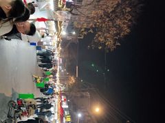 -西司夜市