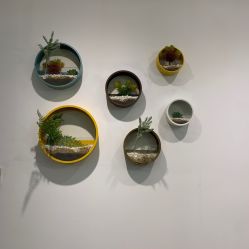 -兰瑜伽·普拉提