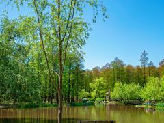 -上海共青森林公园