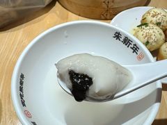 -朱新年·苏式汤团·面点(北寺塔店)