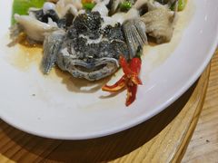 清蒸笋壳鱼-德胜轩正宗顺德菜(宝安沙井会展中心店)