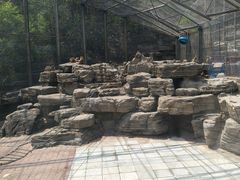 -北宫国家森林公园