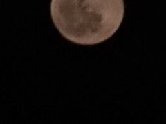 -盛江山自助料理(奥莱锦辉购物广场店)