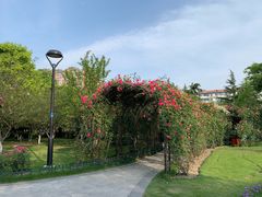 -大关公园