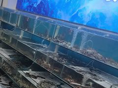 -仙螺岛海鲜自助餐厅(总店)