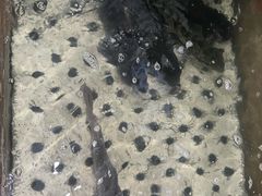 -抚仙湖鱼洞石锅鱼(中华美食城店)