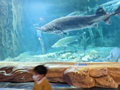 -华夏文旅海洋公园