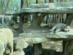 -北京野生动物园