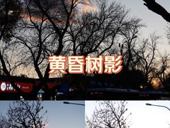 -京旬海鲜放题·铁板烧自助餐厅
