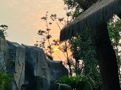 -武汉动物园