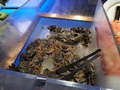 -诱货海鲜自助火锅(爱琴海购物公园东百店)