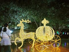 -上海浦东星河湾酒店