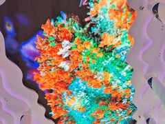 -三亚西岛海洋文化旅游区