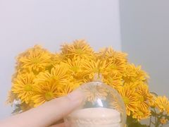 -一些柠檬一些茶(西村店)