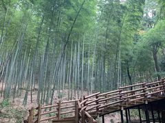 -天目湖山水园