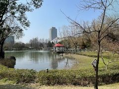 -新虹桥中心花园