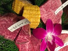 松阪牛焼肉M(法善寺横丁店)-松阪牛焼肉M(法善寺横丁店)