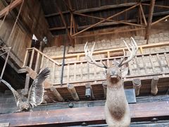 -通湖草原