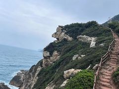 -杨梅坑