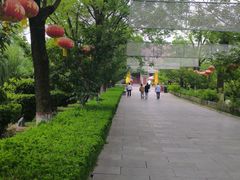 -大槐树寻根祭祖园