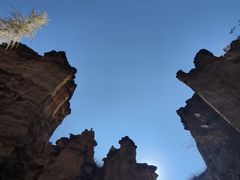 -元谋土林景区(物茂土林)