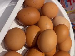 -龍歌自助小火锅(芝罘万达店)