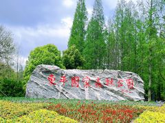 -东平国家森林公园