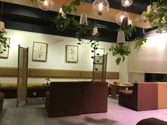 -柴务处·柴犬主题狗咖