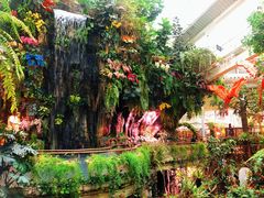 -正佳雨林生态植物园
