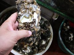 -万尾农贸市场