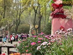 -上海共青森林公园