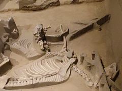 -洛阳周王城天子驾六博物馆