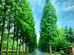-青城山