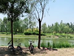 -东郊湿地公园