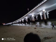 -演武大桥观景平台