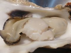 -蚝堡海鲜·威海菜·海肠捞饭·烧烤·亚洲吃蚝公司(幸福门店)
